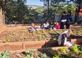 4 a cada 10 escolas municipais de SP têm hortas pedagógicas
