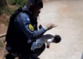 VÍDEO: Policiais salvam recém-nascida engasgada com leite materno