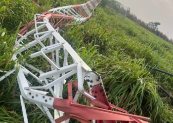 Temporal derruba torre de rádio e árvores em cidade de MT