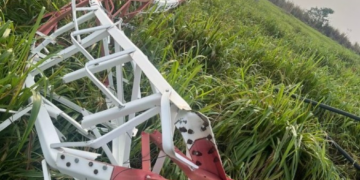 Temporal derruba torre de rádio e árvores em cidade de MT