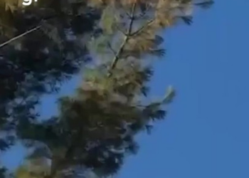 Avião despenca do céu nos EUA, e queda mata três ocupantes; VÍDEO