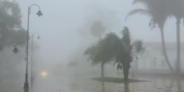 Chapada amanhece fria e tomada por neblina