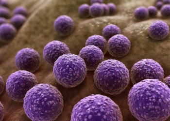 Com vigilância e diagnósticos limitados, Brasil enfrenta alta de infecções resistentes a antibióticos