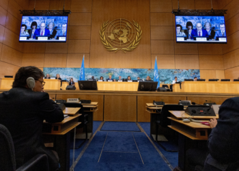 Brasil denunciará Israel no Conselho de Direitos Humanos da ONU por interceptação de flotilha