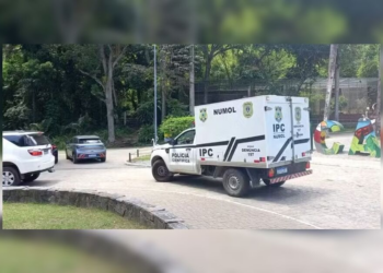 Homem é morto por leoa após entrar em jaula em zoológico