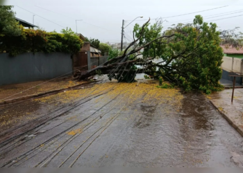 Inmet emite alerta severo de tempestade para Apucarana e Arapongas