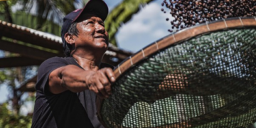 Cooperação que transforma: Sicoob leva cases de sucesso para a COP30