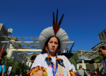 Jovens indígenas e quilombolas atuam na conexão entre as linguagens da COP30 e dos territórios