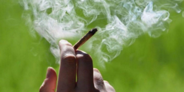 Câmara de Cuiabá barra multa para quem usar droga na rua