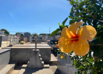 Confira os falecimentos deste domingo (9) em Apucarana e região