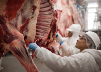 Mato Grosso lidera exportações de carne bovina para a China em 2025