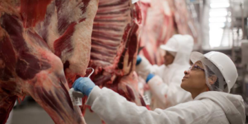 Mato Grosso lidera exportações de carne bovina para a China em 2025