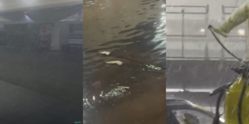 Temporal interrompe treino e frustra expectativa de cuiabanos que lotaram autódromo