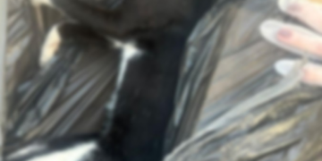 Médico diz que gato de estimação foi envenenado e morto no Alphaville 2; "meus filhos estão chorando muito"