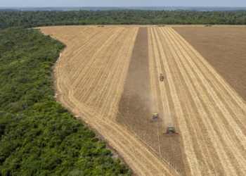 Agro fica com 73% da verba federal para adaptação ao clima no Brasil