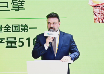 A Força Econômica de Mato Grosso e o Novo Protagonismo da Indústria