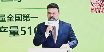 A Força Econômica de Mato Grosso e o Novo Protagonismo da Indústria