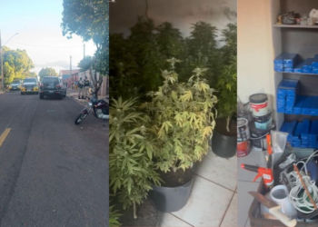 Homem morre em confronto com a PM ao ser pego com plantação de maconha