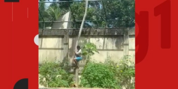 Morte de homem que entrou em jaula de leoa em João Pessoa repercute na imprensa internacional