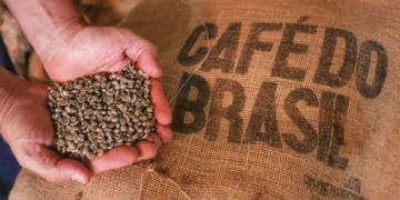 Café e poder: a longa história do grão que os governos insistem em controlar