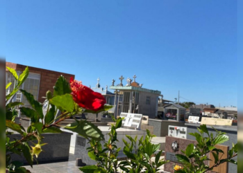 Confira os falecimentos desta quarta-feira (10) em Apucarana e região