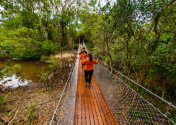 Parque Nacional do Superagui ganha trilha bimodal no norte do Paraná