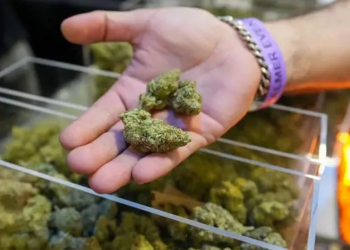 Por que governo Trump pode promover maior mudança na política de drogas dos EUA em décadas