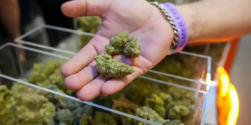 Por que governo Trump pode promover maior mudança na política de drogas dos EUA em décadas