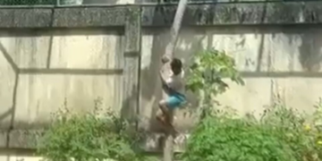 O homem entrou na jaula da leoa. E morreu