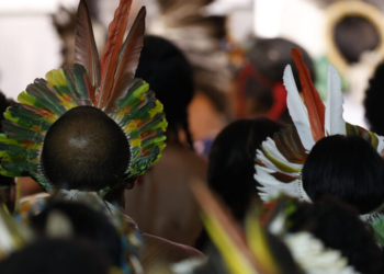 Fumaça, dança e bebida com saliva: como foi o primeiro doutorado 100% indígena do país