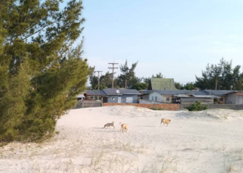 Dunas móveis invadem casas e desafiam urbanização no litoral do Rio Grande do Sul