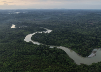 Isolamento e falhas na atenção básica à saúde elevam tabagismo na Amazônia Legal