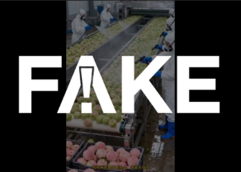 É #FAKE vídeo de operários 'tingindo' frutas e verduras em fábrica na China; cena foi criada com inteligência artificial