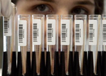 O que acontece com seus dados genéticos se a empresa de testes de DNA falir?