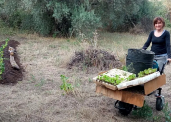 'Neorrurais': os jovens espanhóis que estão migrando para o campo por causa do alto preço de casas nas cidades