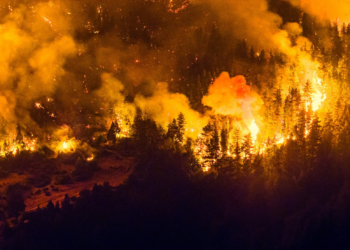 Incêndio florestal de grandes proporções atinge a Patagônia argentina; 'Inferno', diz moradora