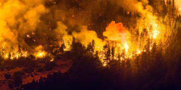Incêndio florestal de grandes proporções atinge a Patagônia argentina; 'Inferno', diz moradora