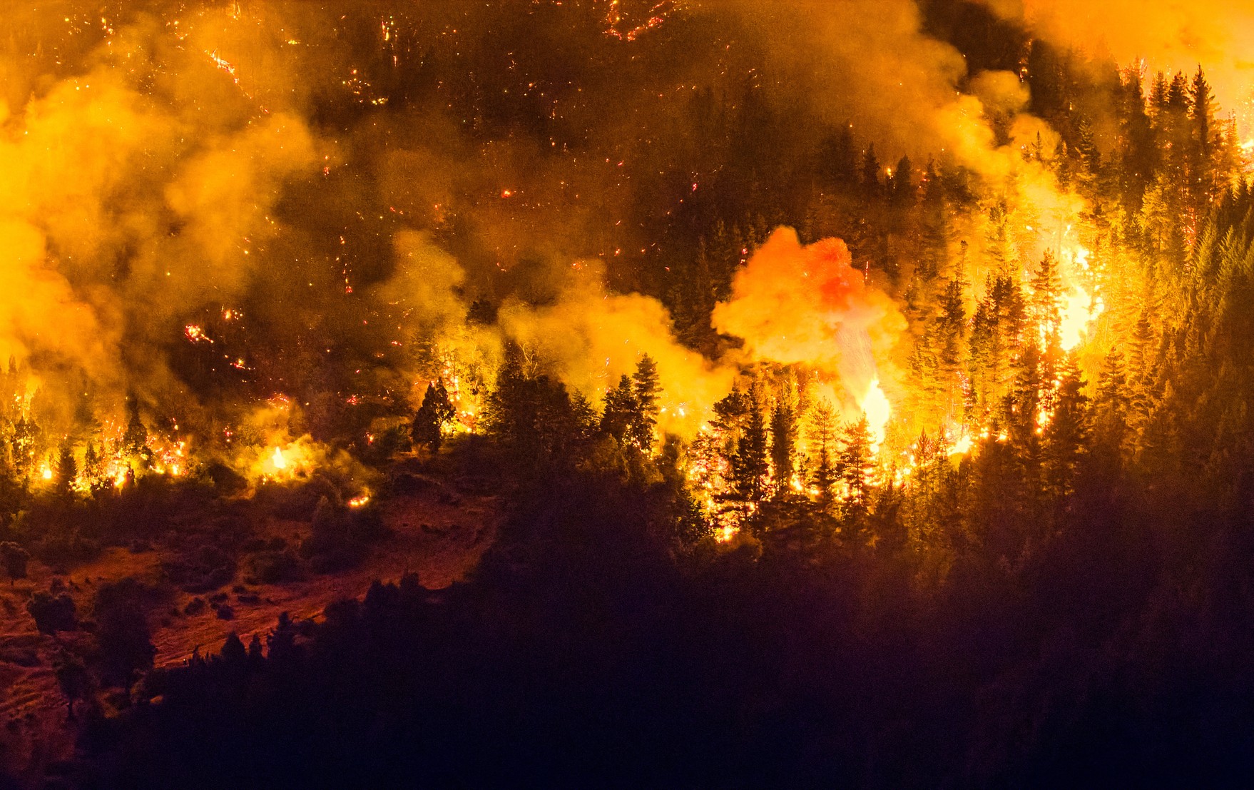 Incêndio florestal de grandes proporções atinge a Patagônia argentina; 'Inferno', diz moradora