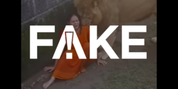 É #FAKE vídeo de leão cheirando mulher que teria caído em jaula na Índia; cena foi criada com inteligência artificial