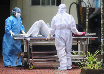 Risco de disseminação do vírus Nipah é baixo, diz OMS