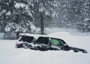 Corpos de 8 esquiadores desaparecidos são encontrados após avalanche na Califórnia; buscas continuam por 1 pessoa