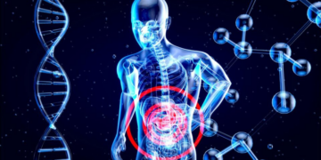 Polilaminina: a aposta da ciência brasileira na regeneração da medula espinhal