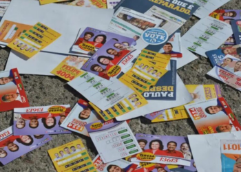 Partido do Autista, Afro-brasileiro, Neossocialista: as siglas em formação no Brasil