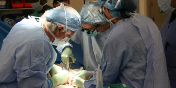 Para entender: como uma técnica brasileira pode revolucionar cirurgias cardíacas em bebês?