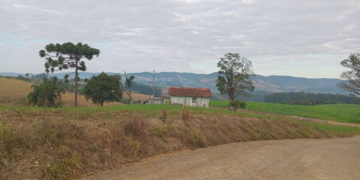 Tudo isso para quê, Daniel Vorcaro?!