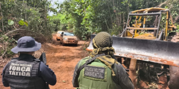 Exploração ilegal de madeira em MT gera multa de R$ 1,5 milhão; PM apreende trator e motosserras