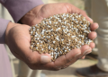 Maior fornecedor de fertilizantes do Brasil, Rússia interrompe exportações de nitrato de amônio por um mês