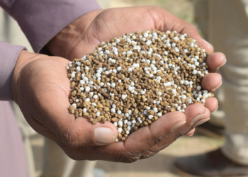 Maior fornecedor de fertilizantes do Brasil, Rússia interrompe exportações de nitrato de amônio por um mês