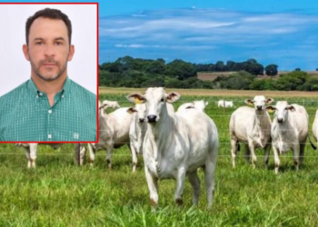 Vereador de Nova Xavantina é preso por receptação de gado furtado