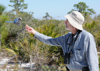 Alarmismo climático: as previsões fracassadas de Paul Ehrlich sobre o fim do mundo